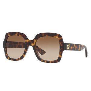 Gucci GG 1337S 003 Havana Plastic Square Sunglasses Brown Gradient Lens